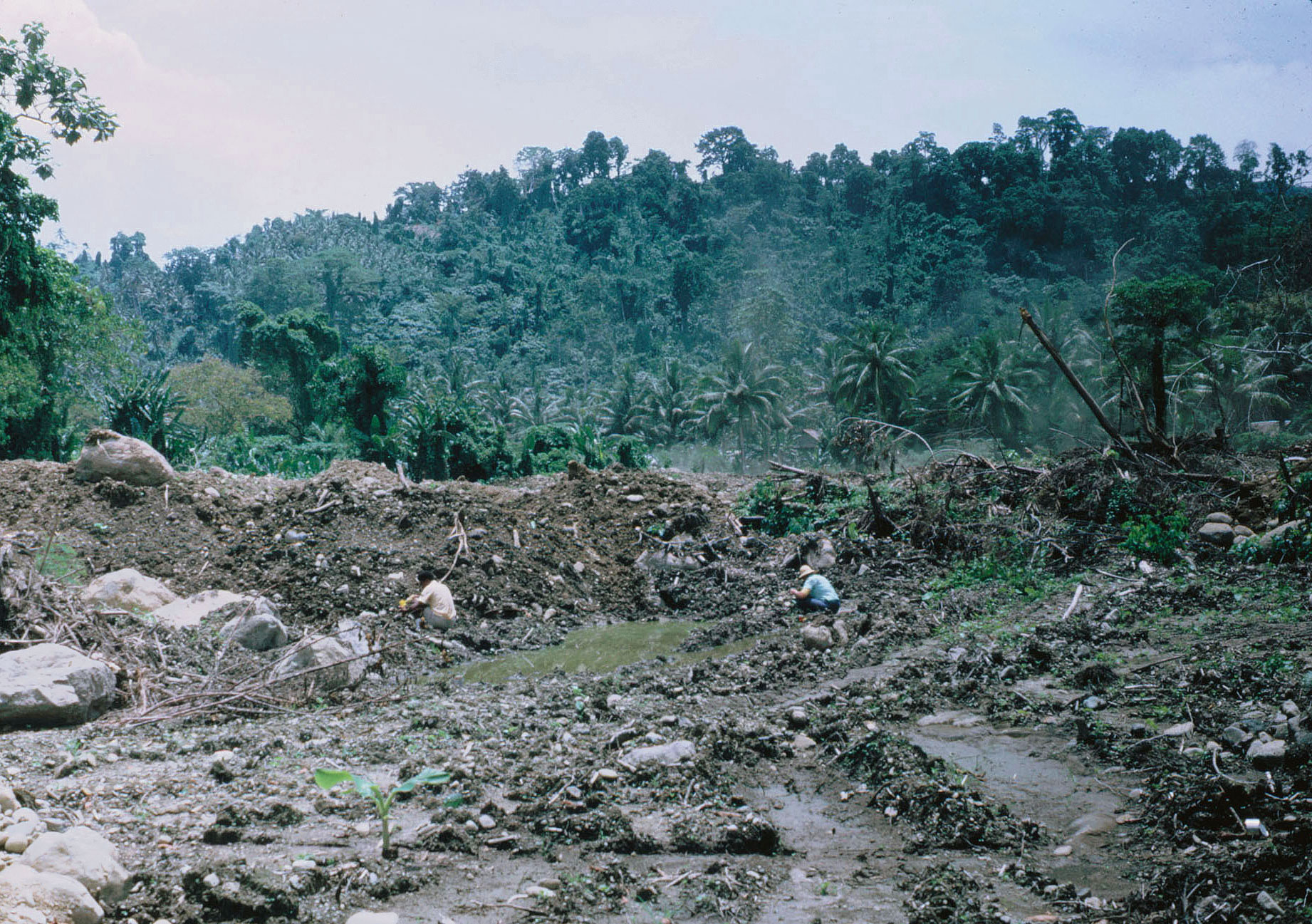 Arawa plantation being destroyed and town being built, Bougainville Island, Papua New Guinea, March 1971. Photographers: Terence E.T. Spencer and Margaret Spencer. Collection of the National Library of Australia.